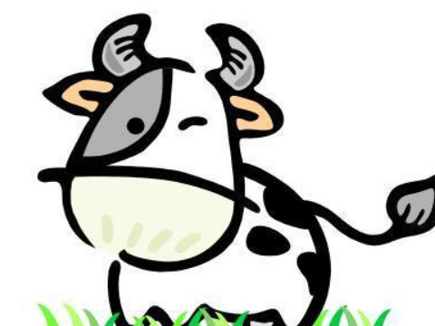 年轻人的眼睛打一字谜(少用眼睛打一字谜)