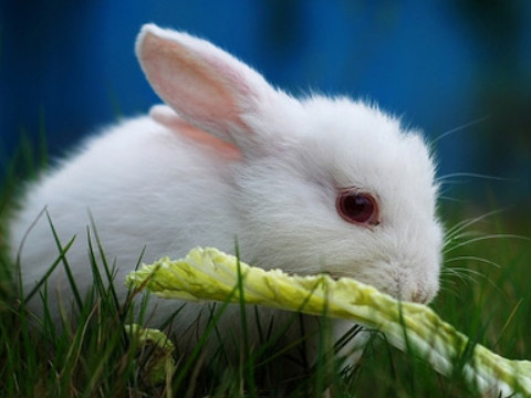 一再跟踪打一字谜(再会 打一字谜)