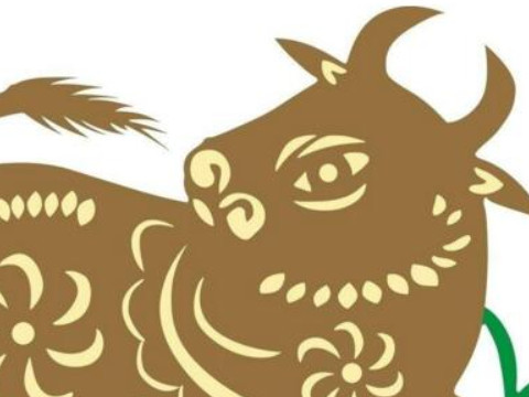 同心协力是指什么生肖(齐心协力指什么生肖)