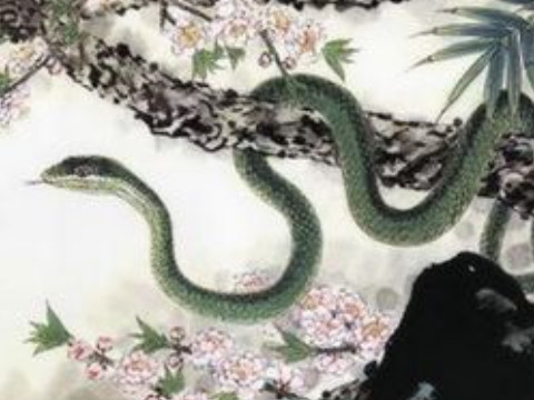 结婚证什么生肖(结婚证猜生肖)