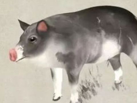 你不是个哑巴打一生肖(哑巴的生肖)