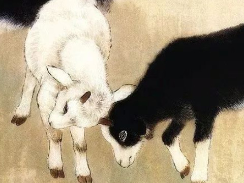 一九九o年属什么生肖(一九九O年属什么生肖)