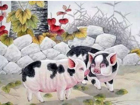 儿在院中打一字谜(房子下面有儿子打一字谜)