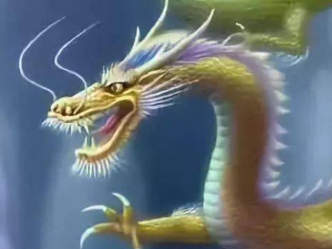 马大哈十二生肖指什么(十二生肖各代表什么生肖)