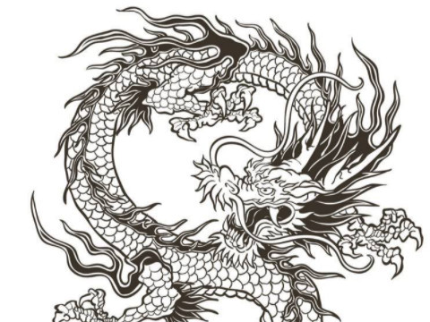 属龙佩戴什么生肖(属龙佩戴什么生肖手链)