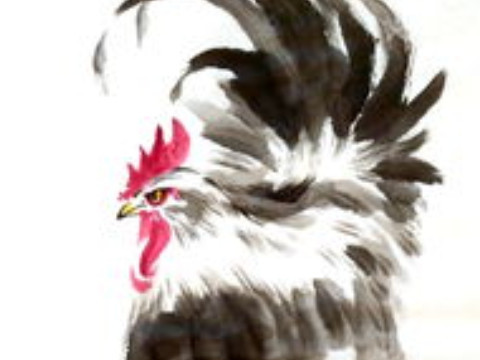 相依相别是什么生肖(两相依是指什么生肖)