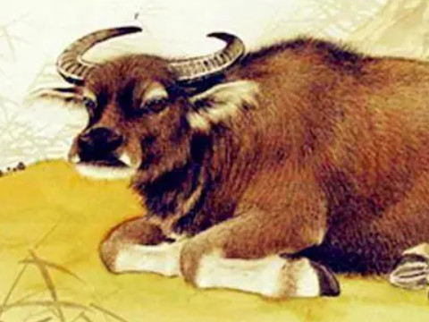 人上八口是什么字打一字谜(谜语八口是什么字)