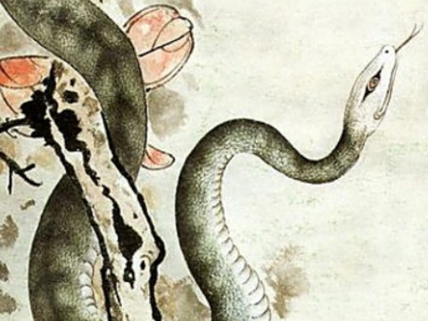 对联颜色讲究(对联字颜色讲究)