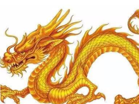 什么生肖吃不了兜着走(吃不了兜着走意思是什么)