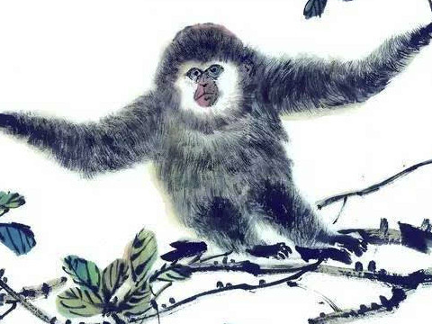 36岁属什么生肖的(36岁属什么生肖的什么命)