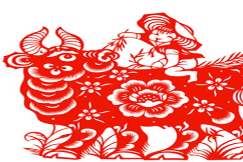 十二生肖读音是什么(十二生肖的各个字的读音是什么)