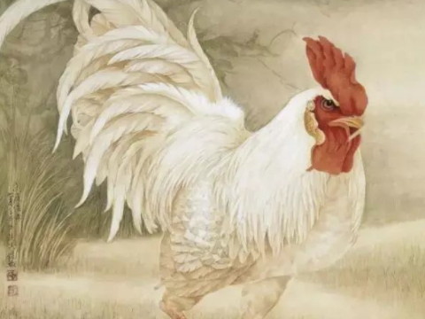 奴才走狗是什么生肖(奴才走狗是什么生肖呢)