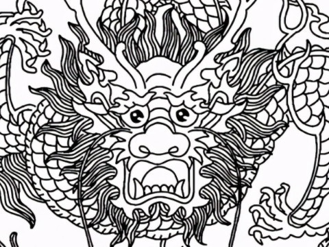 十二生肖哪个最有野性(野性十足的生肖是什么)