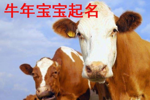 十二生肖属水的号码(十二生肖属水的是什么生肖)