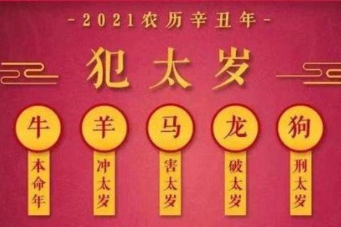 2016年的生肖(2016年的生肖邮票现在多少钱)