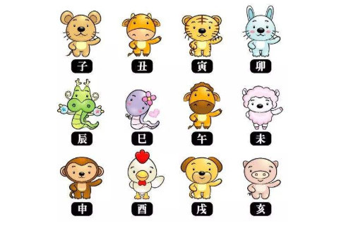 力气大的生肖什么生肖(力气最大的生肖是什么)