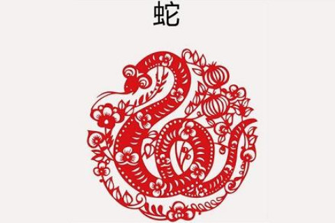 言听计从的是什么生肖(言听计从猜生肖)