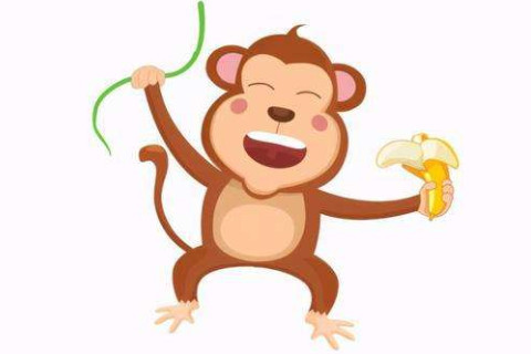 虎的三和生肖(属虎的三合)