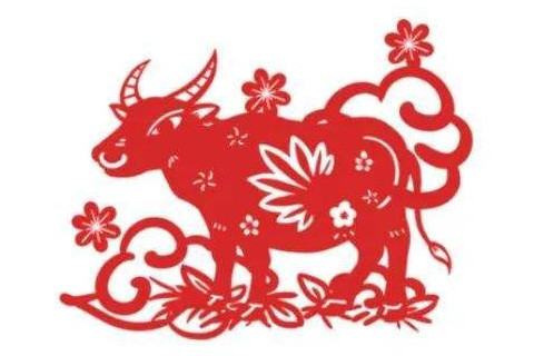 抱大腿什么生肖(抱大腿什么生肖最好)