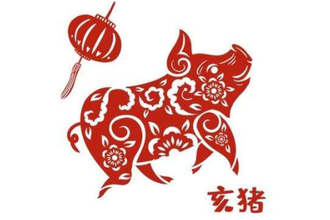 猴见猪打一字谜(打一猪的谜语)