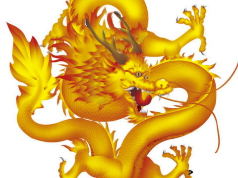 虎的生肖号码(虎的生肖号码4个数字是)