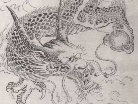 房子打一生肖(房子打一生肖是什么)
