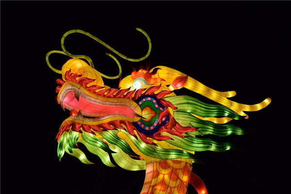 丁火代表什么生肖(丁火代表什么生肖和动物)